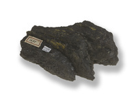 M 07492
<br/>
<br/>
<em></em>